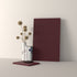 Front usa masina de spalat vase, model riflat, 45x80 cm